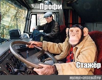 Мем: "Профи Стажёр" - Все шаблоны - Meme-arsenal.com