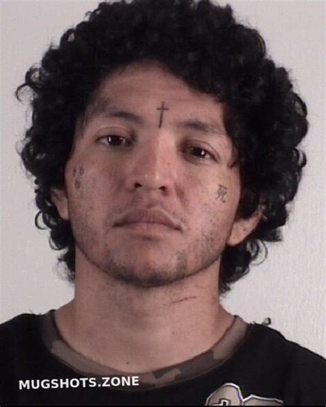 Soliz Armando Tarrant County Mugshots Zone