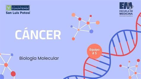 Exposici N Sobre C Ncer Biolog A Molecular Zahira Valdez Udocz