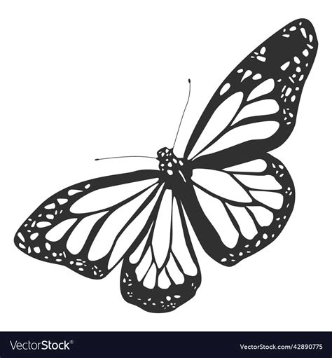 Monarch Butterfly Silhouette