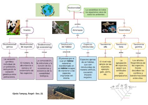 Biologia Cuadro Sinoptico Origen De Las Especies