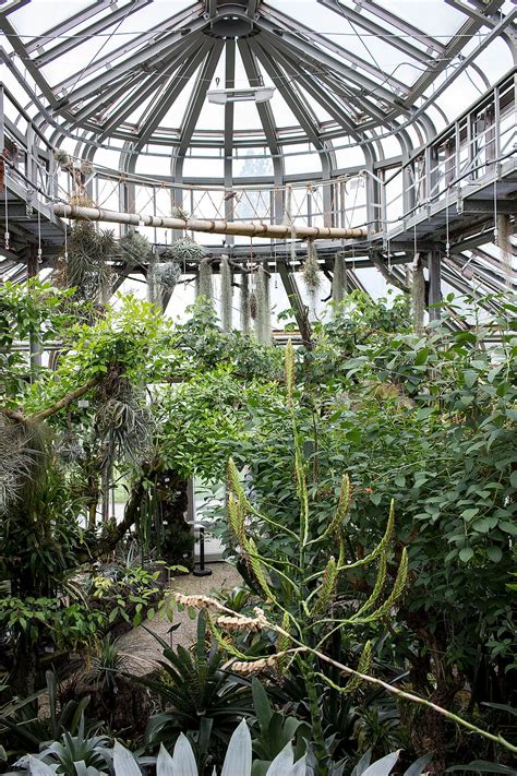 Berlin Botanical Garden Greenhouse Fasci Garden