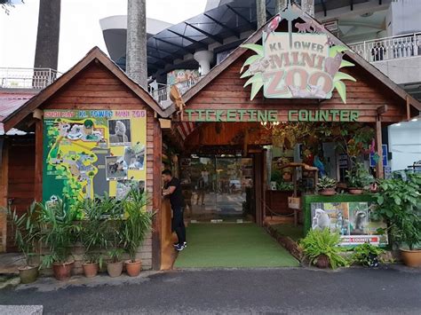 Kl Tower Mini Zoo Jom Bermesra Dengan Haiwan Comel Di Mini Zoo Kuala