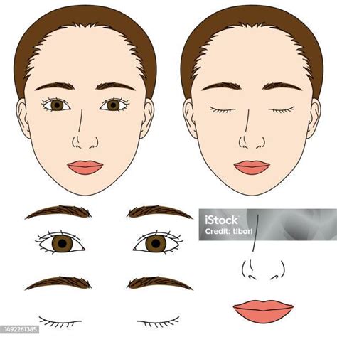 Woman Face Parts Illustration Vector File Stock Illustration Download Image Now Adult