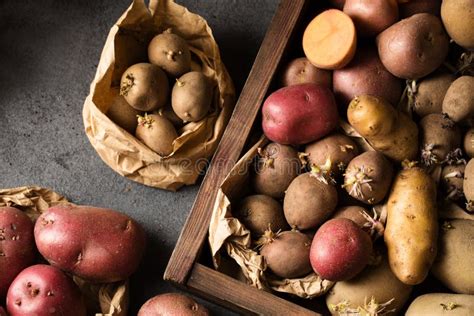 Verschillende Soorten Aardappelen In Een Houten Doos Stock Foto Image