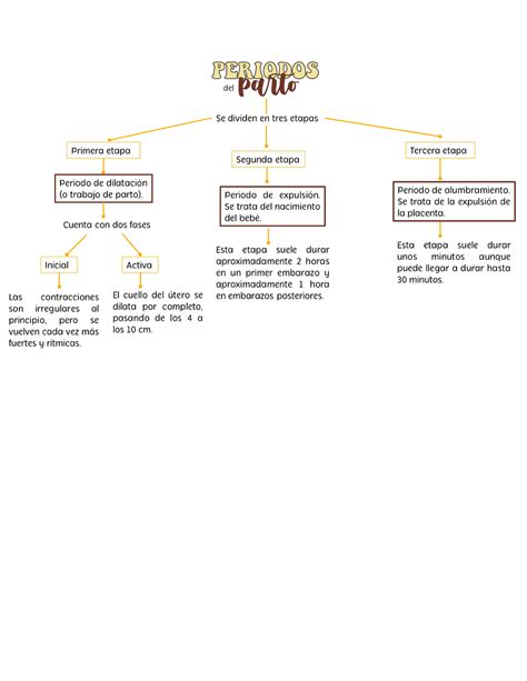 Mapa Conceptual Sobre Los Periodos Del Parto ENF08A2 Studocu