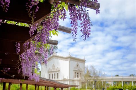 Upper Garden Venue — Japanese Friendship Garden