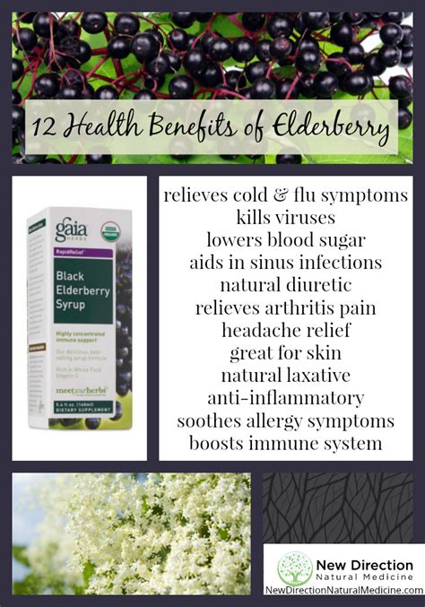 Health Benefits Of Elderberry