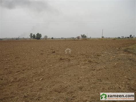 5000 Kanal Agricultural Land For Sale Cultivable Raqba 1500 Cultivated