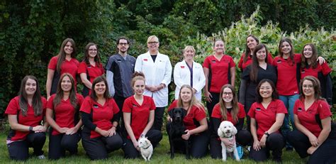 Meet The Team Local Vets In Town Pembroke Animal Hospital