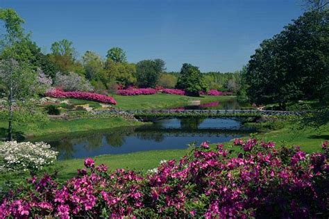 Bellingrath Gardens – Alabama Indigenous Mound Trail