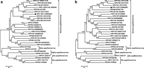 Phylogenetic Trees Based On The L Gene A And Complete Genome B Of