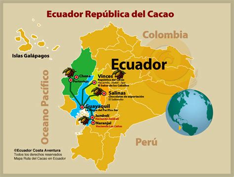 Ecuador Pretende Renovar Sus Plantaciones De Cacao Agronoticias