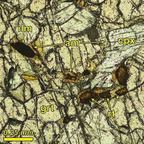 Photomicrograph Plane Polarized Light Of Layer H Illustrating The