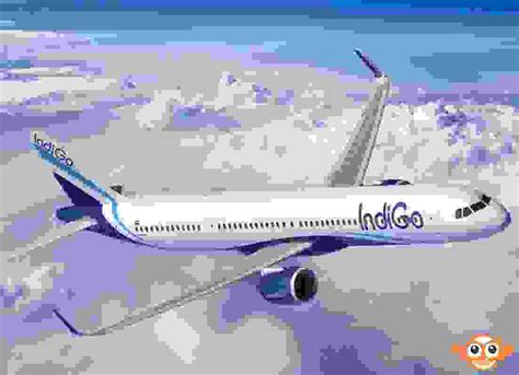 Indigo Airlines Dhaka Office Phone Address Ticket Booking