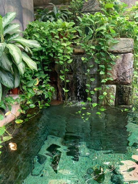 Wander Away In 2024 Water Features In The Garden Garden Pond Design