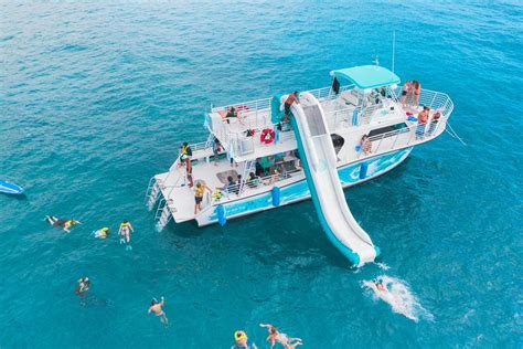 Oahu Dolphin Watching And Snorkelling Cruise Hellotickets