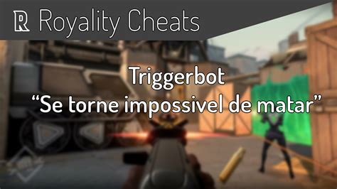 Triggerbot Valorant 1Mês Sem Ban Desde A Beta DFG