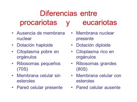 Diferencia Entre Membrana Celular Y Pared Celular Compartir Celular