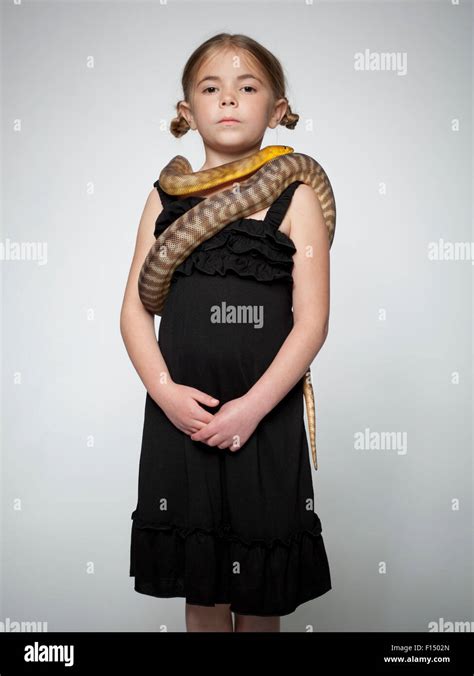 Snake Wrapped Around Hi Res Stock Photography And Images Alamy