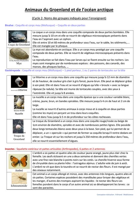 Outils Animaux Du Groenland Et De L Arctique