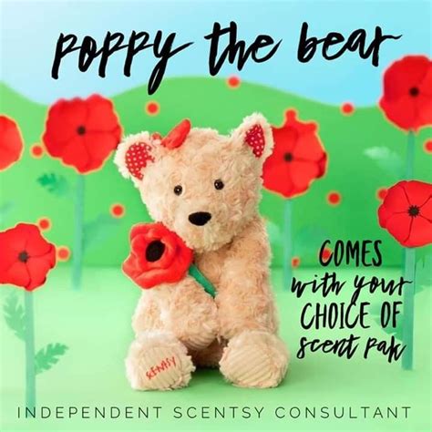 Scentsy Poppy Scentsy Scentsy Buddy Scented Wax Warmer