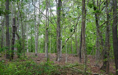 Barnstable Land Trust Receives A 295000 Conservation Partnership