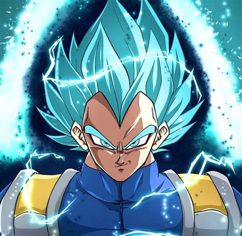 Vegeta Super Saiyan God Evolution Anime Dragon Ball Super