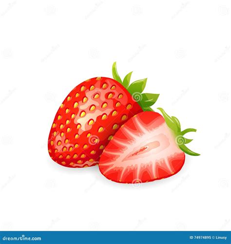 Strawberry And Slice Stock Vector Illustration Of Green 74974895