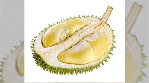 Durian Curiosit Sul Superfood Pi Puzzolente Del Mondo Deabyday