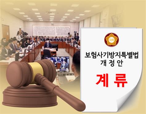 여야 대립에 보험사기방지법 제자리통과 간절