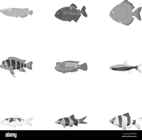 Aquarium Fish Set Icons In Monochrome Style Big Collection Of Aquarium