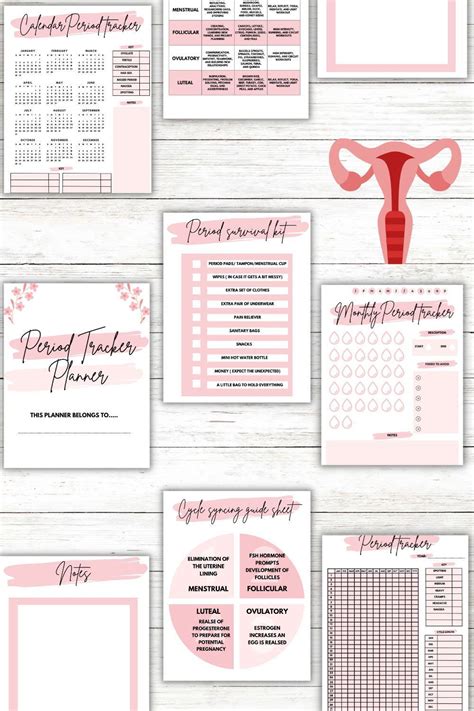 Mindful Menstruation The Ultimate Period Tracker Printable Planner