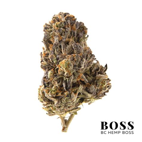 8814g Black Gas Aaaa Bc Hemp Boss