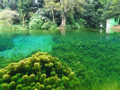 Sumber Sirah Sajian Mata Air Menyejukan Dari Malang