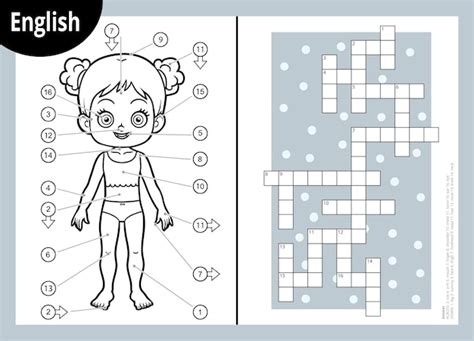 Crucigrama Vectorial En Un Juego De Educaci N En Ingl S Para Ni Os