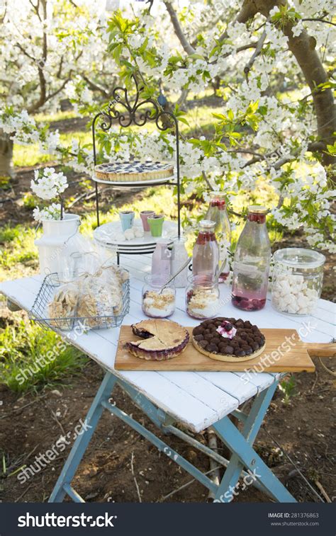 Cherry Blossom Picnic Stock Photo 281376863 : Shutterstock