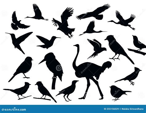 Detailed Vectoral Bird Silhouettes Stock Vector Illustration Of