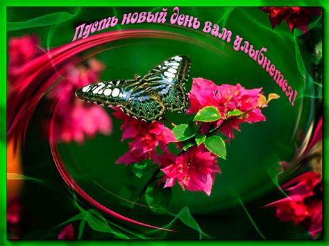 Добрый день красивые картинки и живые гифки