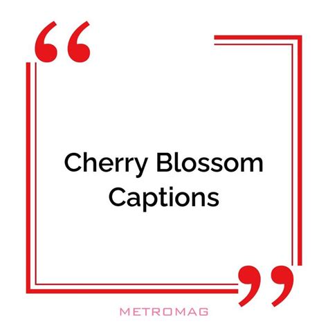 Cherry Blossom Quotes And Captions For Instagram