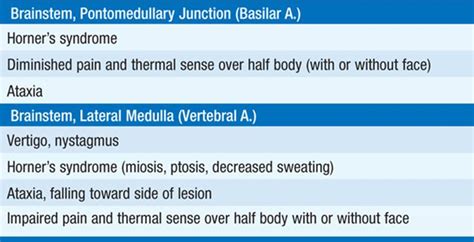 Stroke Medical Emergencies Harrisons Manual Of Medicine 18th Ed