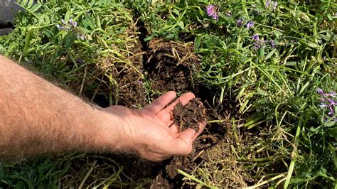 El lado C del Agro siembra directa captura de carbono y desafíos de