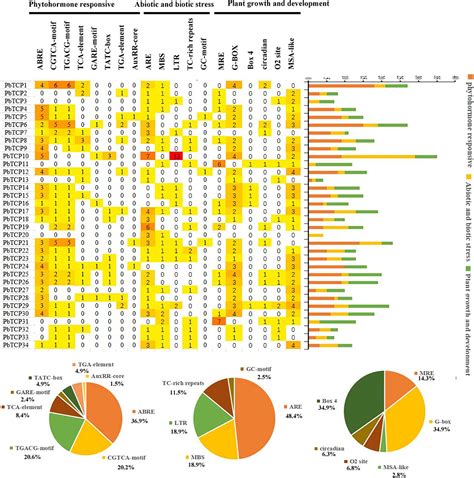 Frontiers Comparative Genomic Analysis Of TCP Genes In Six Rosaceae