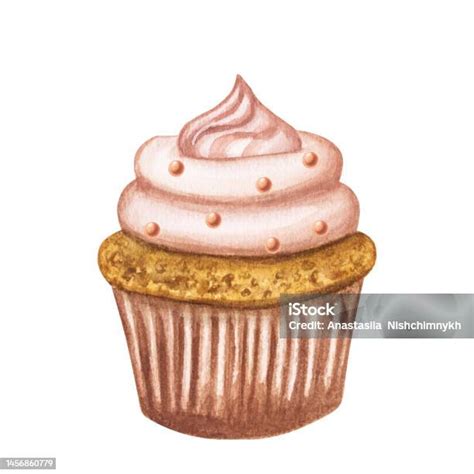 Cupcake Dengan Krim Dan Meringue Ilustrasi Cat Air Yang Digambar Tangan