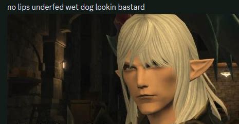 FFXIV Memes On Twitter RT Anearleyspark Constantly Think About My