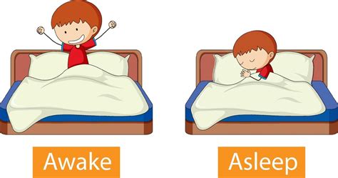 Opposite Words With Awake And Asleep 3022998 Vector Art At Vecteezy