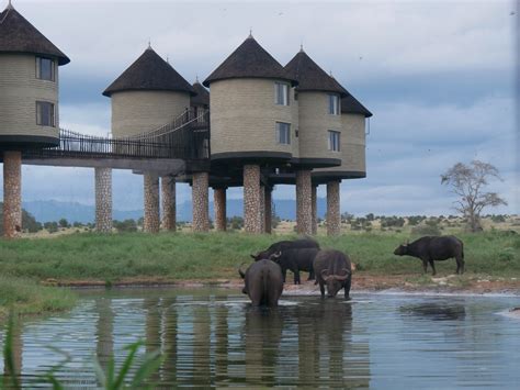 Tsavo West National Park - Kenya - Travel and photo tips | PhotoMoai