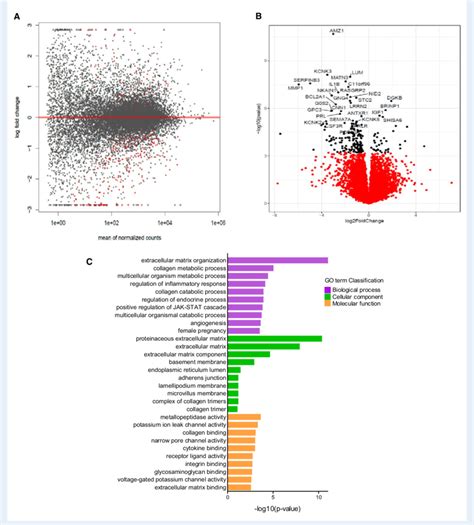 Rna Seq Analysis A Volcano Plot Illustrating The 204 Genes Reaching