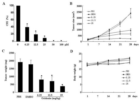 Oridonin Inhibits Colony Formation Of Sw In Vitro And Tumor Growth