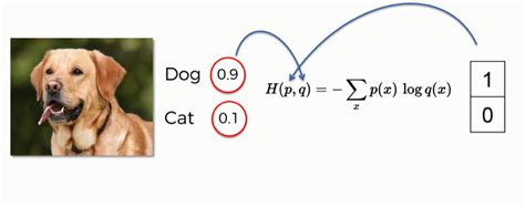 Convolutional Neural Networks (CNN): Softmax & Cross-Entropy - Blogs - SuperDataScience ...